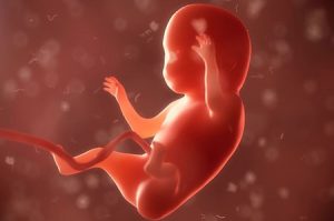 چگونه وزن جنین را در دوران بارداری افزایش دهیم؟